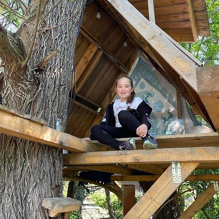 Casa Din Povesti In Mijlocul Naturii! Арад Экстерьер фото