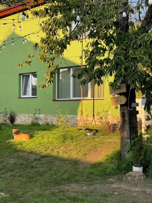 Casa Din Povesti In Mijlocul Naturii! Арад Экстерьер фото