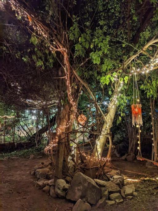 Casa Din Povesti In Mijlocul Naturii! Арад Экстерьер фото